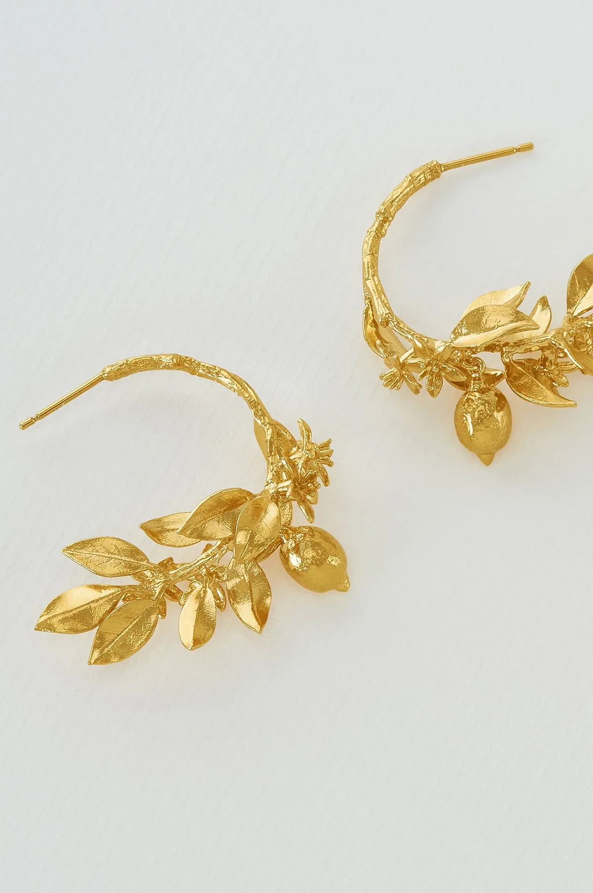 Lemon Blossom Branch Hoop Earrings Gold
