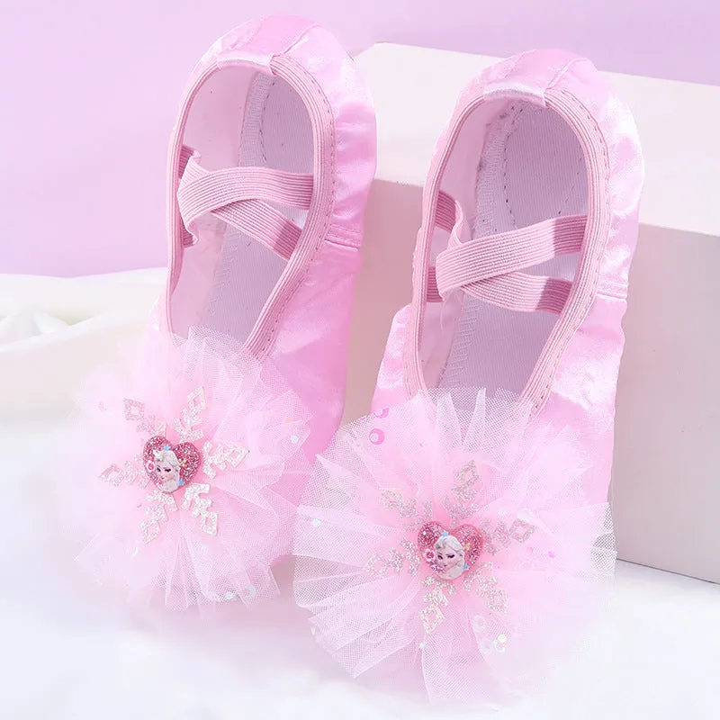 Princess Dance Shoes Soft Sole Ballet Special Training Shoes